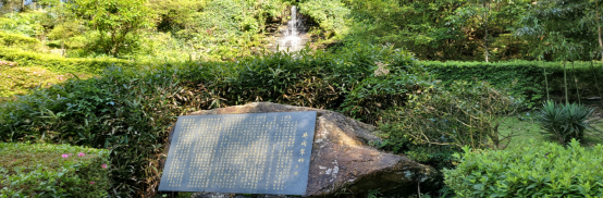九江公司井冈山二日游记2021.6.7470